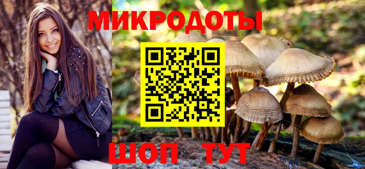 Саки  Галлюциногенные грибы мицелий  Вход с VPN  Псилоцибиновые грибы Psilocybe 